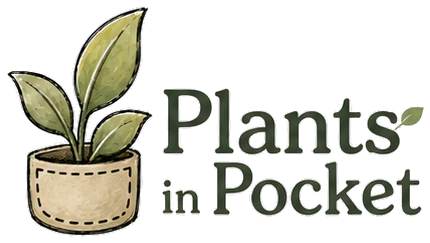Plants in Pocket logo: a potted plant beside the name